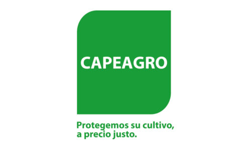 portada-33.jpg