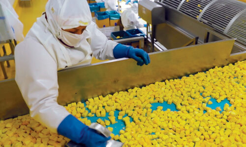 mango-congelado.jpg