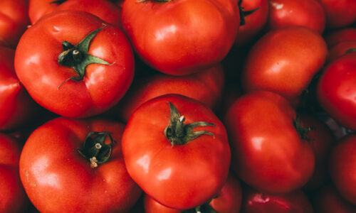 tomates-img.jpg