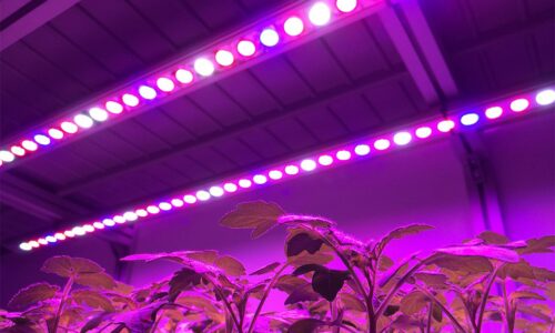 led-light-bars-newlux.jpg
